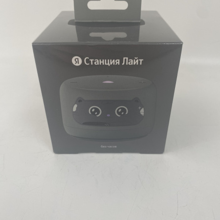 Станция ЯНДЕКС Станция Лайт 2 yndx-00026