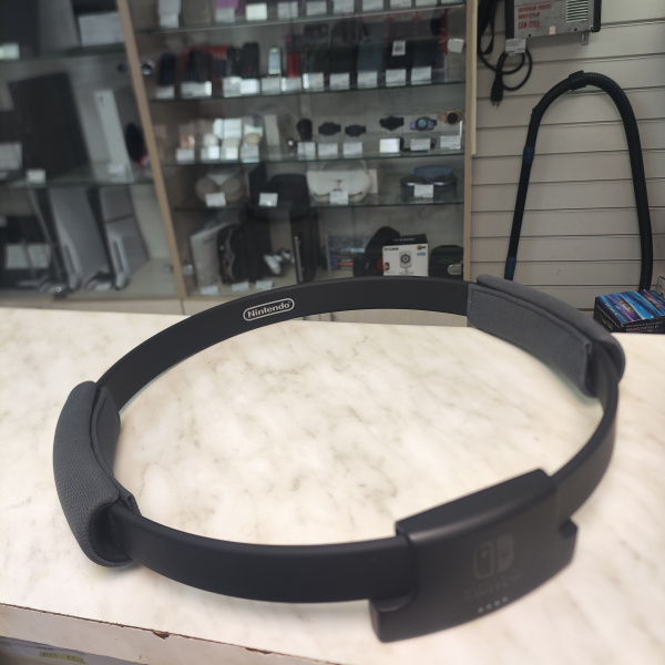 Игровой катридж nintendo Ring Fit Adventure