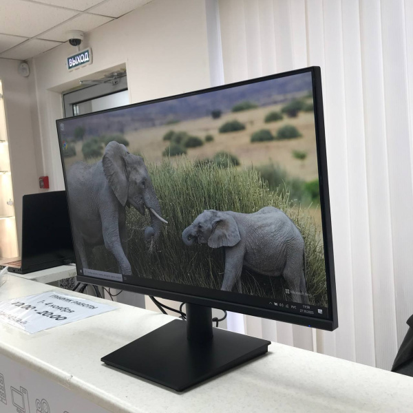 Монитор DEXP  df24n1 24,0" 75 гц