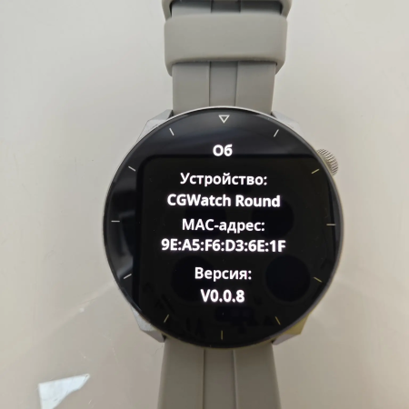 Смарт часы CGWatch Round caseguru